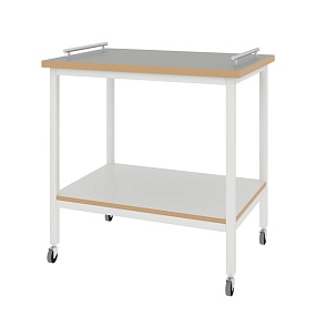 Стол передвижной ЛАБ-800 СТПТ