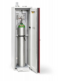 Шкаф для хранения газовых баллонов DUPERTHAL ECO+ М (73-200660-011)